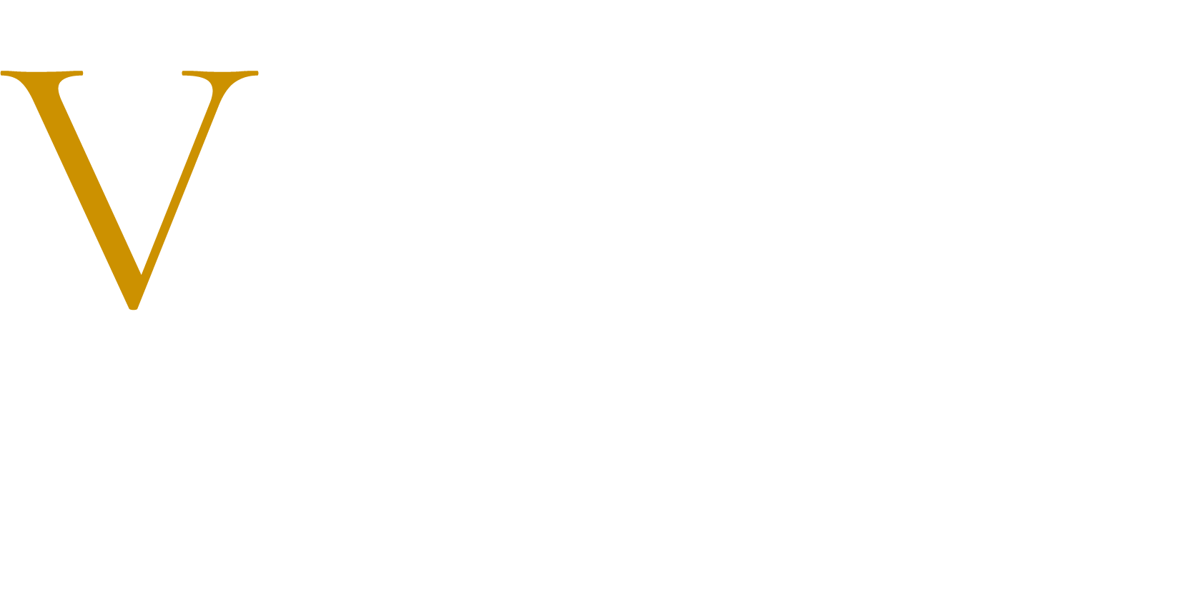Valentis Magna Group